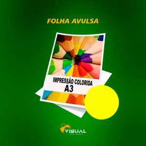 FOLHA AVULSA A3 Varias opções 33X48CM 4x4 Varias opções Com Recorte 